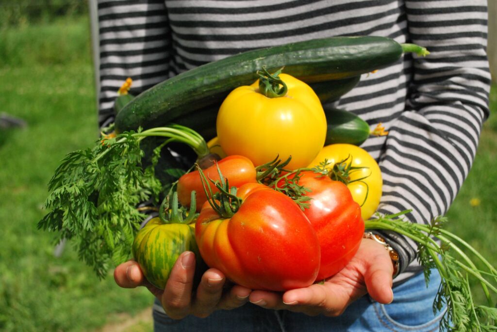 how to store vegetables without a fridge in india